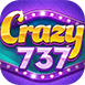 Crazy737